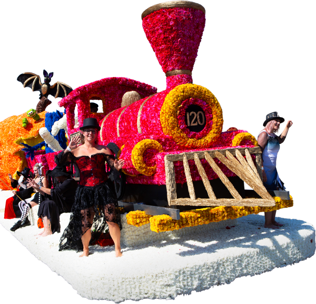 About Battle of Flowers